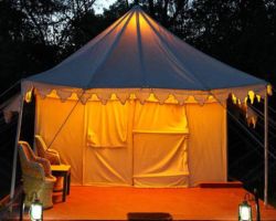 Bengal tiger spotted during Ranthambore tiger safari